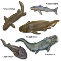 Prapovijesne ribe, ilustracija, tiskanje plakata Gven Šokei znanstveni izvor