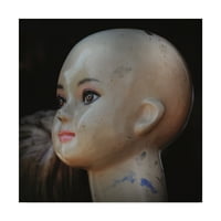 Zaštitni znak likovne umjetnosti glava lutke, ulje na platnu Christine St. Laudi