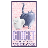 Tajni život kućnih ljubimaca Chloe i Gidget 24 ploča