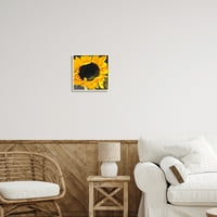 Stupell Industries podebljana žuta ljetna ljetna suncokretu izbliza Blossom Grafička umjetnost bijela uokvirena