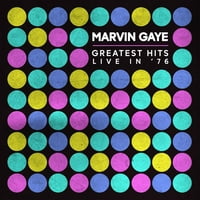 Marvin Gaj-Najveći hitovi uživo na vinilu