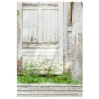 Poliester 5x7ft pozadina fotografija Pozadina Old Famovied Weotled Wooden With Poda drvena vrata Pozadina vrata