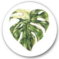 Dizajnerska umjetnost tropsko zeleno lišće na bijelom ljeti - disk od 23