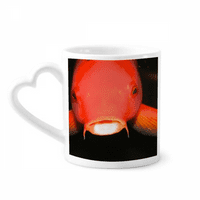 Morski organizam Crvena riba za životinjsku šalicu kava cerac za piće staklo srce šalica srca