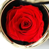 Sačuvana cvjetna ruža, vrhunski besmrtni cvjetovi, darovi za žene, Dan majke, Valentinovo, godišnjica, rođendan,