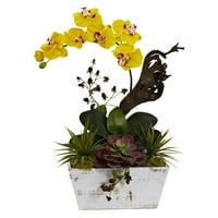 Vrt orhideja i sukulenata s bijelom žardinjerom žute boje
