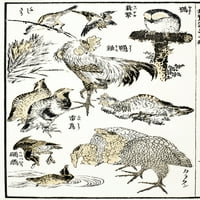 Hokusai: Ptice. Drvorez iz mange Katsushiki Hokusai, 19. stoljeće. Ispis plakata od
