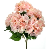Hydrangea Bush 18 - ružičasta