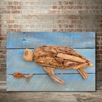 Driftwood Turtle Galerija omotana platnu zidna umjetnost, 16x20