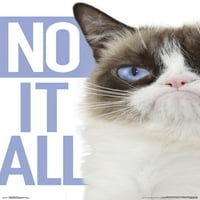 Mrzovoljna mačka-plavi zidni poster, 22.375 34