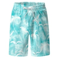 Kratke hlače duge kratke hlače muške muške proljetne ljetne Ležerne kratke hlače tiskane sportske hlače za plažu