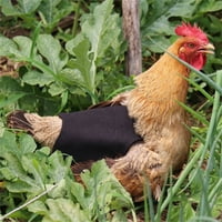 SHLDYBC Pileće sedlo za kokoš pileće pregače s elastičnim remenom pileća jakna traka za zaštitnik peradara kokoš