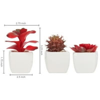 Skup minijaturnih crvenih umjetnih sočnih biljaka u bijelim keramičkim posudama