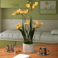 Nacionalna drvna tvrtka 18 cvijeće žute orhideje