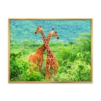 DesignArt 'Dvije žirafe koje se bore u bujnom zelenom divljini' Farmhouse uokvirena platna zidna umjetnička tiska