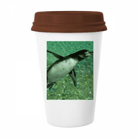 Voda Južni Pingvin znanost šalica s prirodom šalica za piće kava staklena keramika poklopac šalice