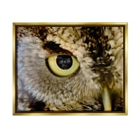 Stupell Industries sova Eye Close Up Divlje životinje i insekti Slikanje zlatnog plutara uokvirenog umjetničkog