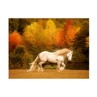 Slika na platnu Zlatni osvijetljeni konj