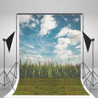 Mohome 5x7ft pozadina fotografija pozadina zeleno kukuruz polje plavo nebo prirodno vanjsko romantični umjetnički