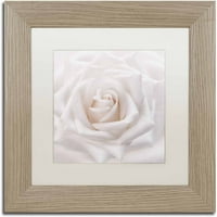 Zaštitni znak nježna bijela ruža ulje na platnu od menija, bijela mat, okvir od breze