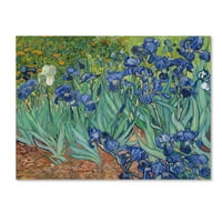 Zaštitni znak likovna umjetnost 'Irises 1889' platno umjetnost Vincenta van Gogha