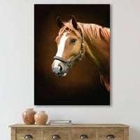 DesignArt 'Smeđi konj s portretom bijelog nosa' Farmhouse Canvas Wall Art Print