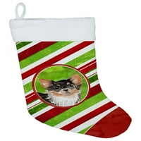 Božićne pahuljice božićna čarapa dugodlaka Chihuahua