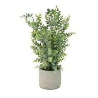Cvjetna biljka Šimširovina u bijelom okruglom cementnom loncu, grm topiarija za uredski stol