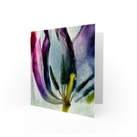 Izbliza cvjetni tulip šarena proljetna makro čestitka Plus omotnica prazna iznutra