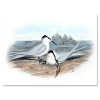 Drevne ptice u divljini slikam umjetnički tisak na platnu