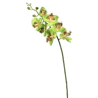 Umjetna cvjetna stabljika orhideje od 35