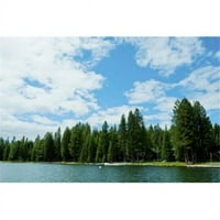 Panoramske slike drveće uz obalu jezera Almanor, Kalifornija, SAD ispis plakata s panoramskim slikama - 24